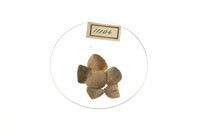 F 11104
<br/>
<br/>
<em></em>